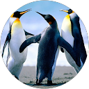 Enrique y Susana profile picture